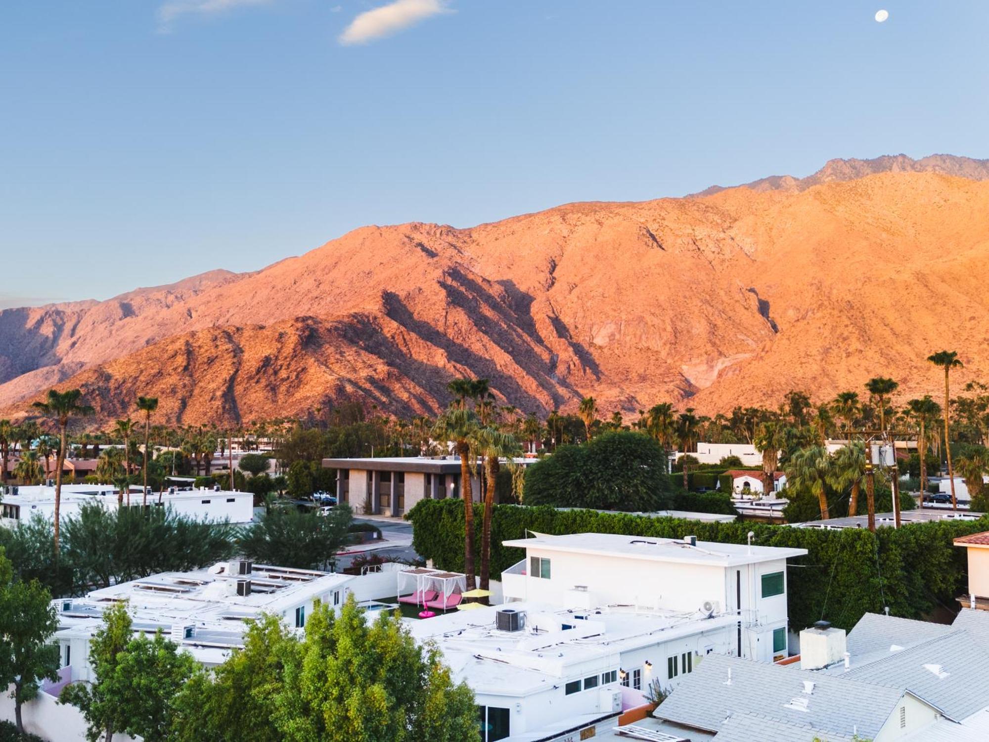 فندق The Cactai بالم سبرينغس المظهر الخارجي الصورة